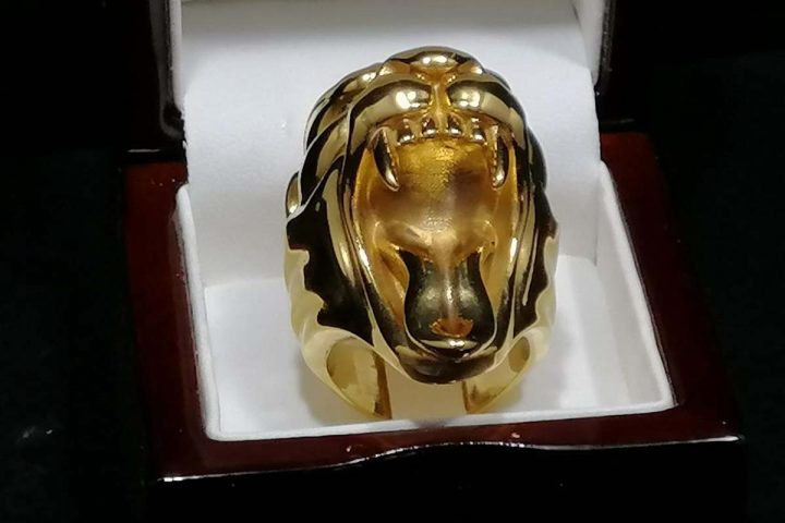 Panther ring