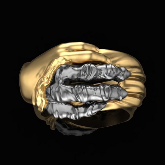 Hand Transformation ring